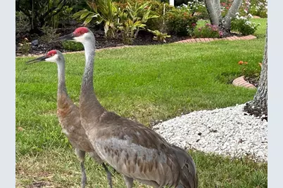 4553 Charing Cross Road, Sarasota, FL 34241 - Photo 51