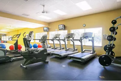 2374 Little Country Road, Parrish, FL 34219 - Photo 53