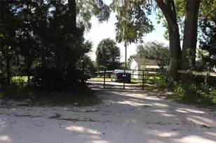 14150 NE 110th Avenue Rd, Fort Mc Coy, FL 32134 - Photo 15