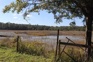 14150 NE 110th Avenue Rd, Fort Mc Coy, FL 32134 - Photo 5