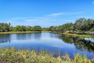 13046 Peregrin Cir, Bradenton, FL 34212 - Photo 41