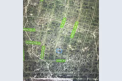 548 Venus Avenue, Lake Placid, FL 33852 - Photo 3