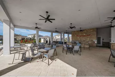 108 Bright Ibis Avenue, Apollo Beach, FL 33572 - Photo 21