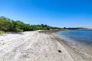 5709 Silver Sun Dr, Apollo Beach, FL 33572 - Photo 89