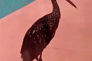 3001 Eden Mills Dr, Sarasota, FL 34237 - Photo 15