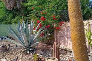 3001 Eden Mills Dr, Sarasota, FL 34237 - Photo 33