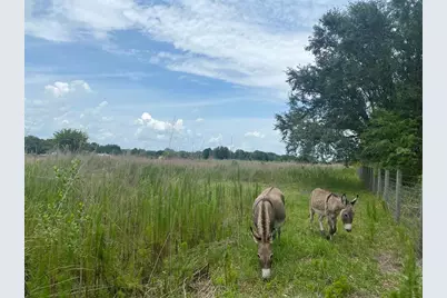 5187 Greenfields Run, Zolfo Springs, FL 33890 - Photo 7