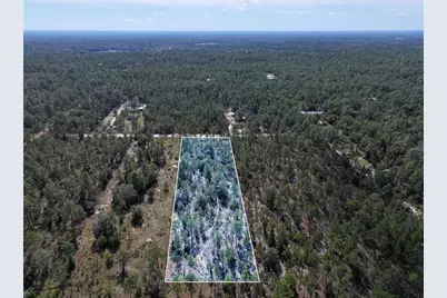 Rose Trail, Interlachen, FL 32148 - Photo 3