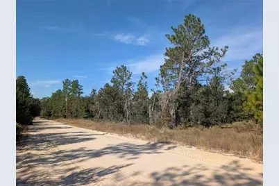 Rose Trail, Interlachen, FL 32148 - Photo 13