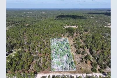 Rose Trail, Interlachen, FL 32148 - Photo 1