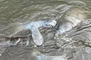 4760 Gulf Of Mexico Dr Villa 7, Longboat Key, FL 34228 - Photo 45