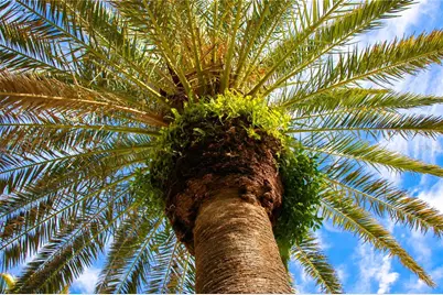 3835 Almeria Court #C1, Sarasota, FL 34239 - Photo 35