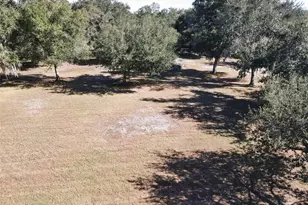 3717 Downer Ave, Sarasota, FL 34240 - Photo 75