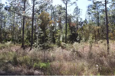 Tbd SW 131st Circle, Ocala, FL 34481 - Photo 7