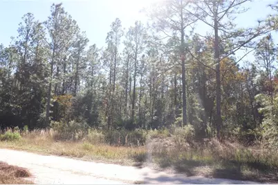 Tbd SW 131st Circle, Ocala, FL 34481 - Photo 11