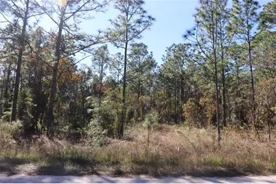 Tbd SW 131st Circle, Ocala, FL 34481 - Photo 9