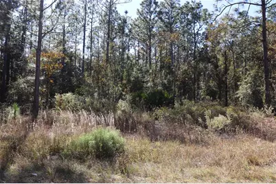 Tbd SW 131st Circle, Ocala, FL 34481 - Photo 1