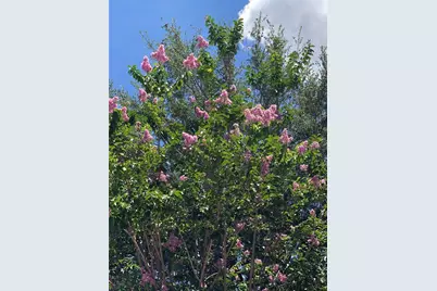 15207 17th Avenue E, Bradenton, FL 34212 - Photo 55