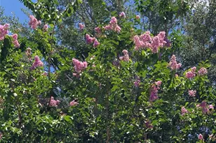 15207 17th Ave E, Bradenton, FL 34212 - Photo 55