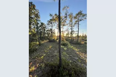 0 Seagrape Avenue, Eustis, FL 32736 - Photo 3