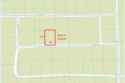 Se 135 Lane, Umatilla, FL 32784 - Photo 3