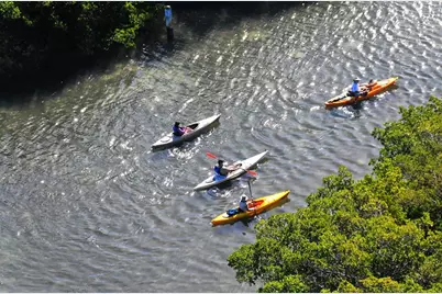 1508 Pelican Cove Road #231, Sarasota, FL 34231 - Photo 39