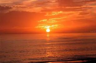 1508 Pelican Cove Rd, Sarasota, FL 34231 - Photo 43