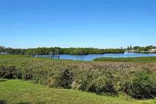 3904 Chinaberry Rd, Bradenton, FL 34208 - Photo 59