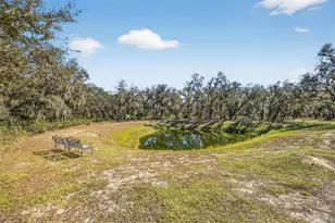 8015 High Oaks Trail, Myakka City, FL 34251 - Photo 49