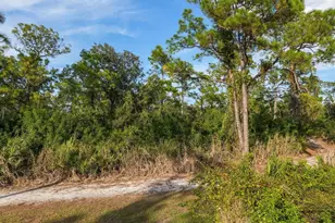 6421 Blue Grosbeak Cir, Lakewood Ranch, FL 34202 - Photo 63