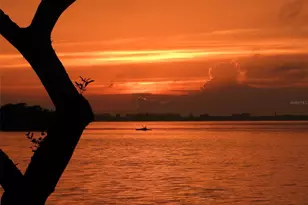 9426 Andover Cir, Bradenton, FL 34210 - Photo 73