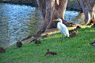 9426 Andover Cir, Bradenton, FL 34210 - Photo 67