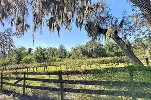 19600 E State Road 64, Bradenton, FL 34212 - Photo 61