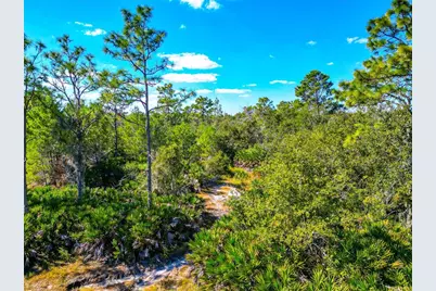 19600 E State Road 64, Bradenton, FL 34212 - Photo 79