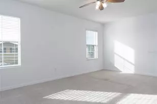 4126 Willow Hammock Dr, Palmetto, FL 34221 - Photo 29