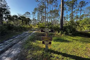 9031 Hilolo Ln, Venice, FL 34293 - Photo 41