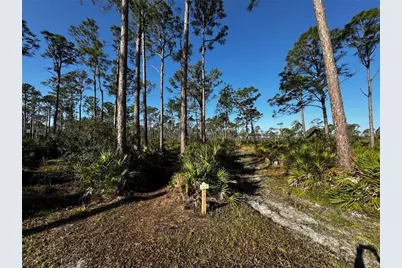 9031 Hilolo Lane, Venice, FL 34293 - Photo 43