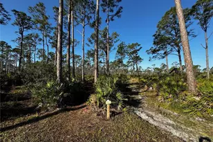 9031 Hilolo Ln, Venice, FL 34293 - Photo 43