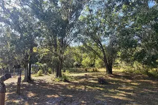 4827 Myrick Ave, Bowling Green, FL 33834 - Photo 5