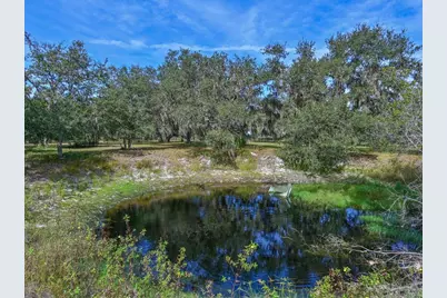 40305 73rd Avenue E, Myakka City, FL 34251 - Photo 5