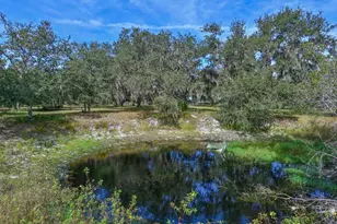 40305 73rd Ave E, Myakka City, FL 34251 - Photo 5