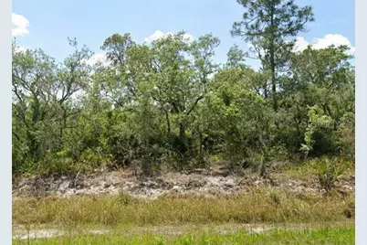 978 Archie Summers Road, Lake Placid, FL 33852 - Photo 1