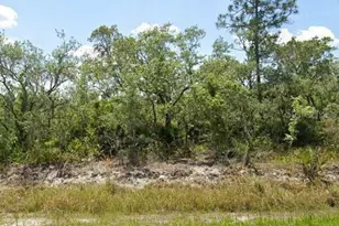 978 Archie Summers Rd, Lake Placid, FL 33852 - Photo 1