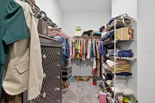 11823 Tetrafin Dr, Riverview, FL 33579 - Photo 43