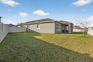 11823 Tetrafin Dr, Riverview, FL 33579 - Photo 67