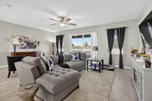 11823 Tetrafin Dr, Riverview, FL 33579 - Photo 31