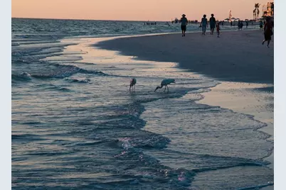 7790 Fairway Woods Drive #1201, Sarasota, FL 34238 - Photo 99