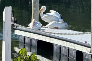 10315 Cortez Road W, Bradenton, FL 34210 - Photo 43