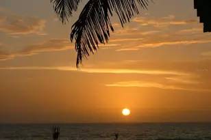 2506 Ave C Ave, Bradenton Beach, FL 34217 - Photo 51