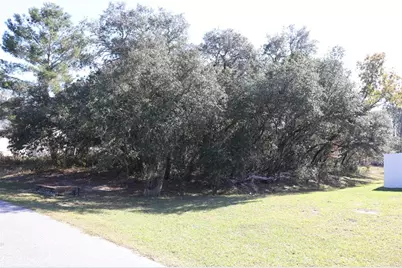 Tbd SW 157th Street, Ocala, FL 34473 - Photo 1